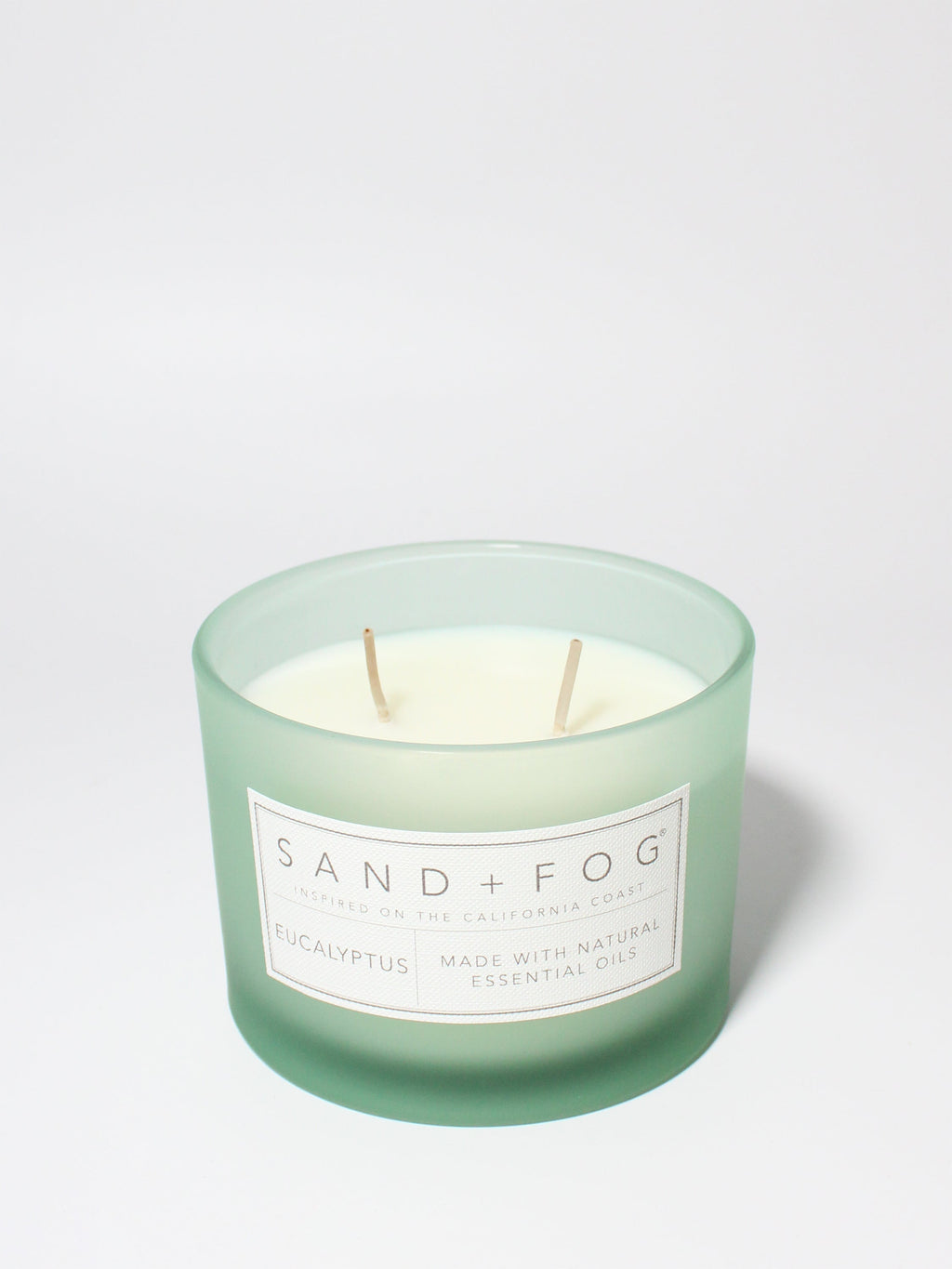 Eucalyptus 12 oz scented candle Premium