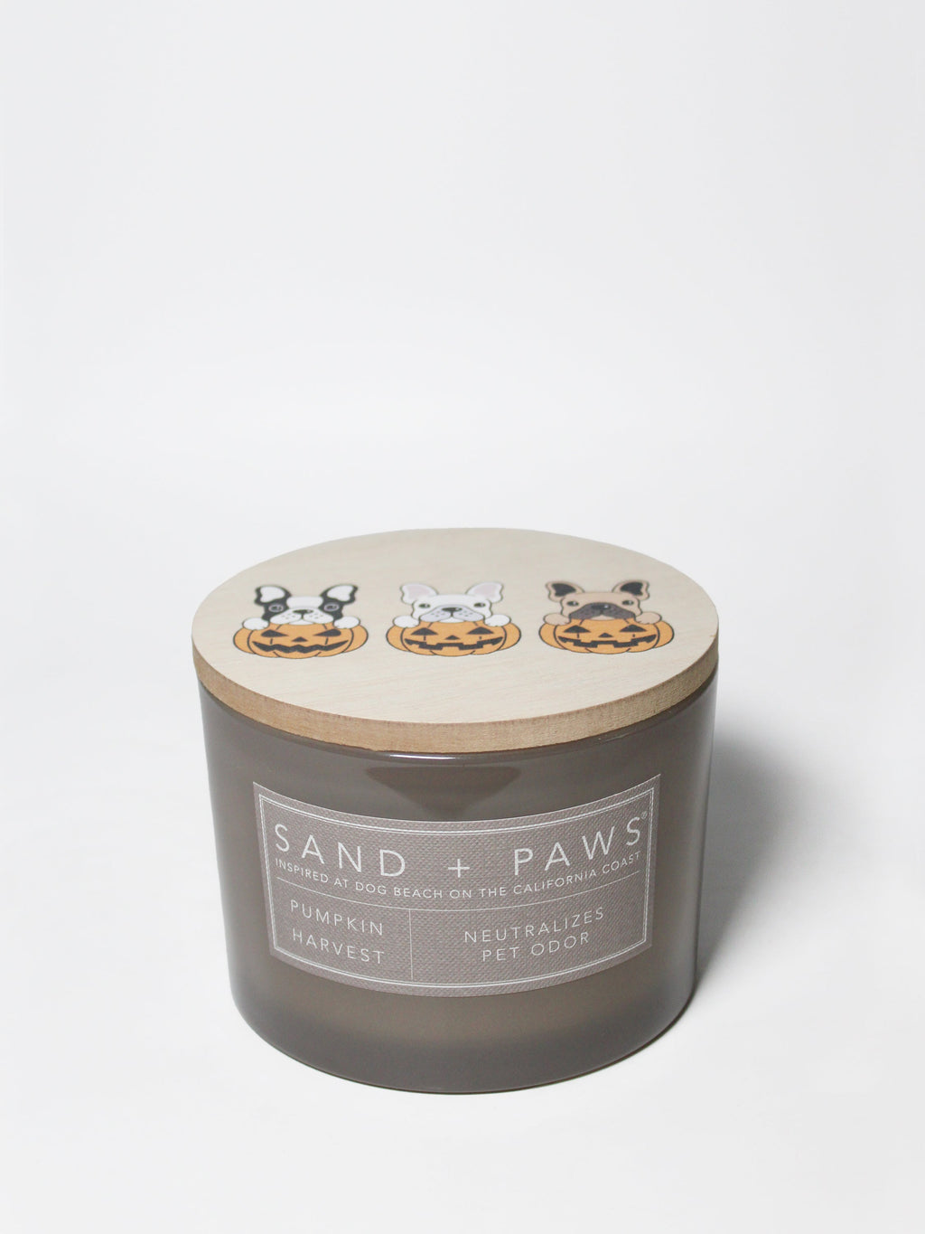Sand + Paws Pumpkin Harvest 12 oz scented candle Premium