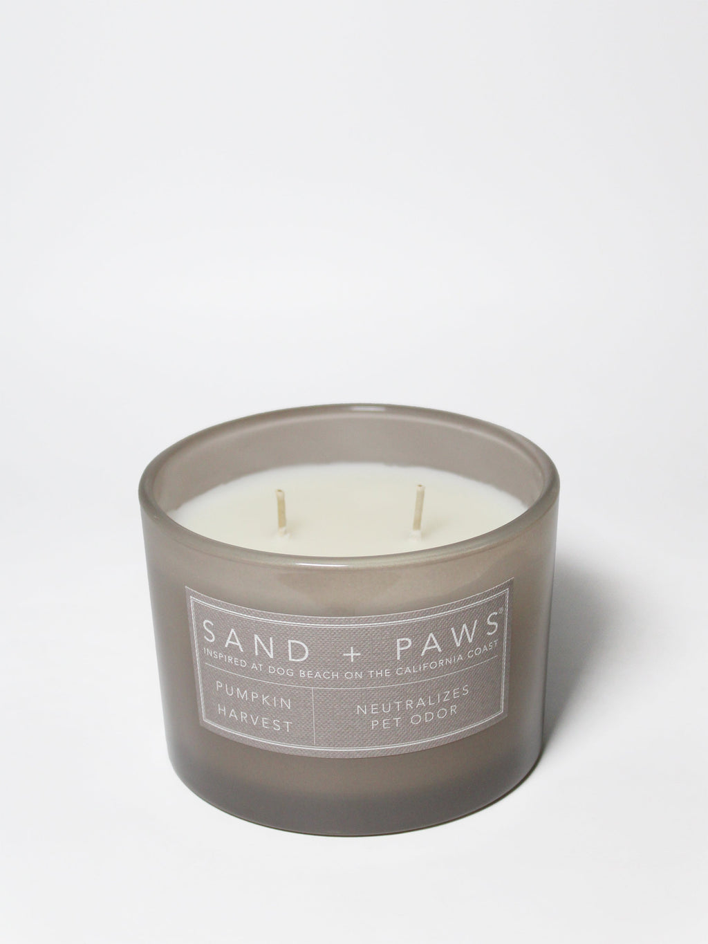 Sand + Paws Pumpkin Harvest 12 oz scented candle Premium
