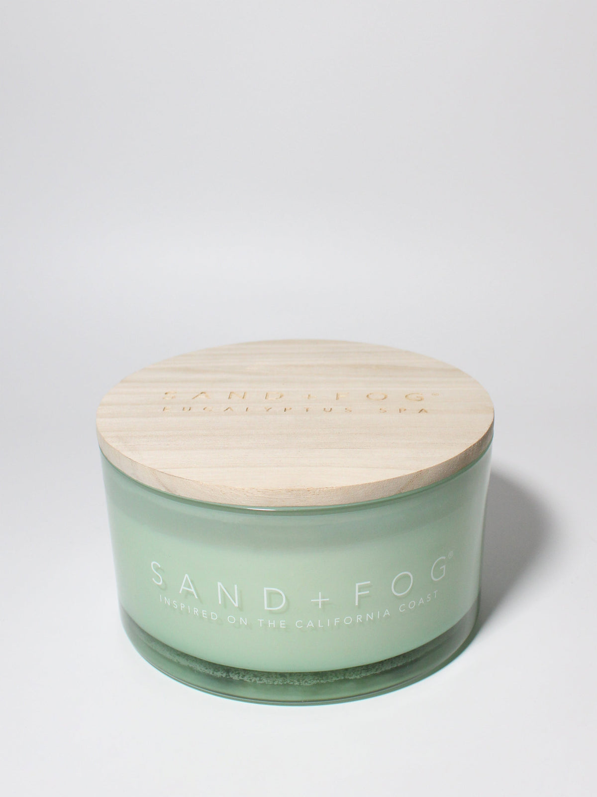 Eucalyptus Spa 23 oz scented candle Premium