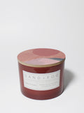 Sun-n-Fun 12 oz scented candle Premium