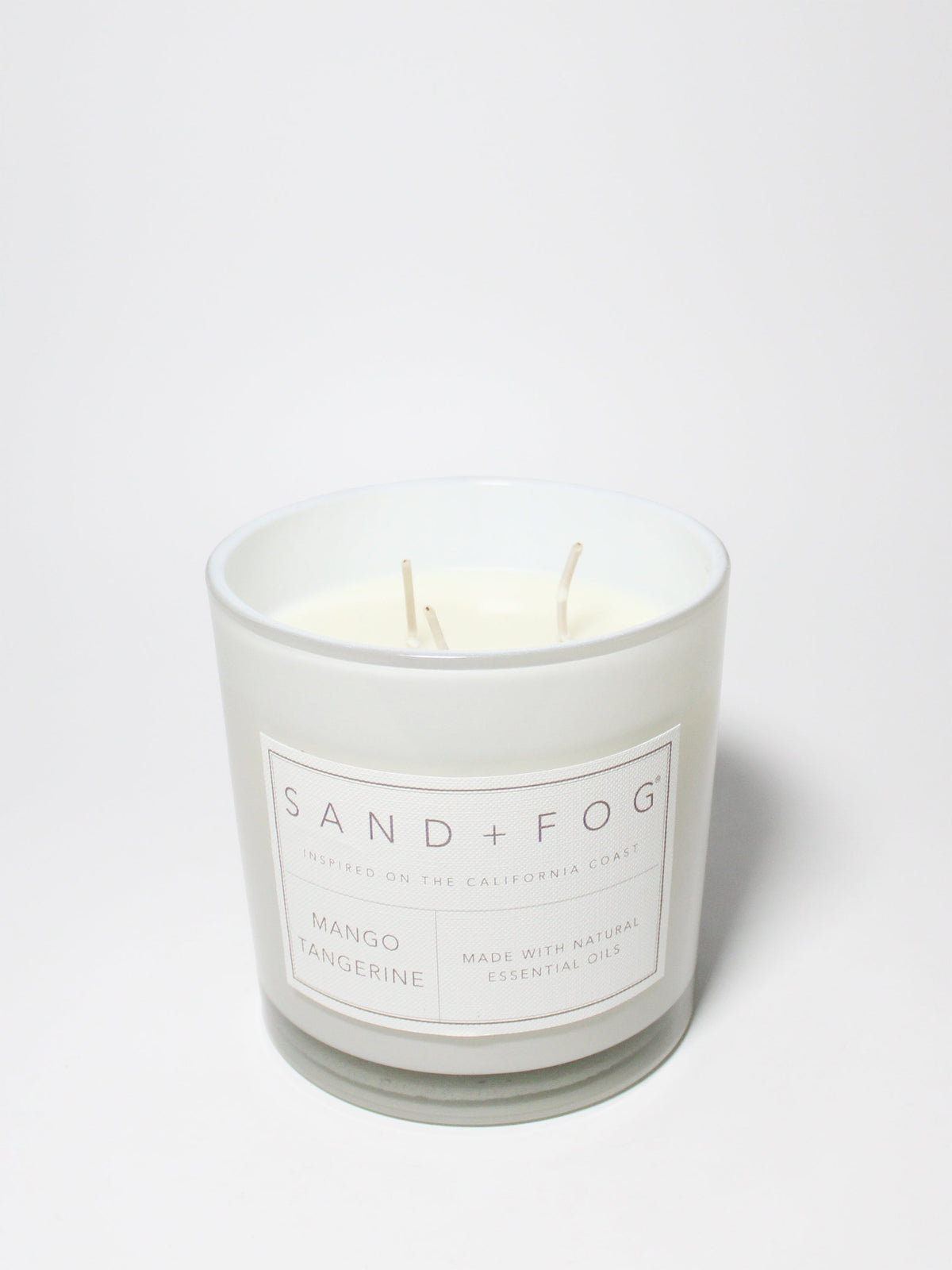 Mango Tangerine 21 oz scented candle Premium