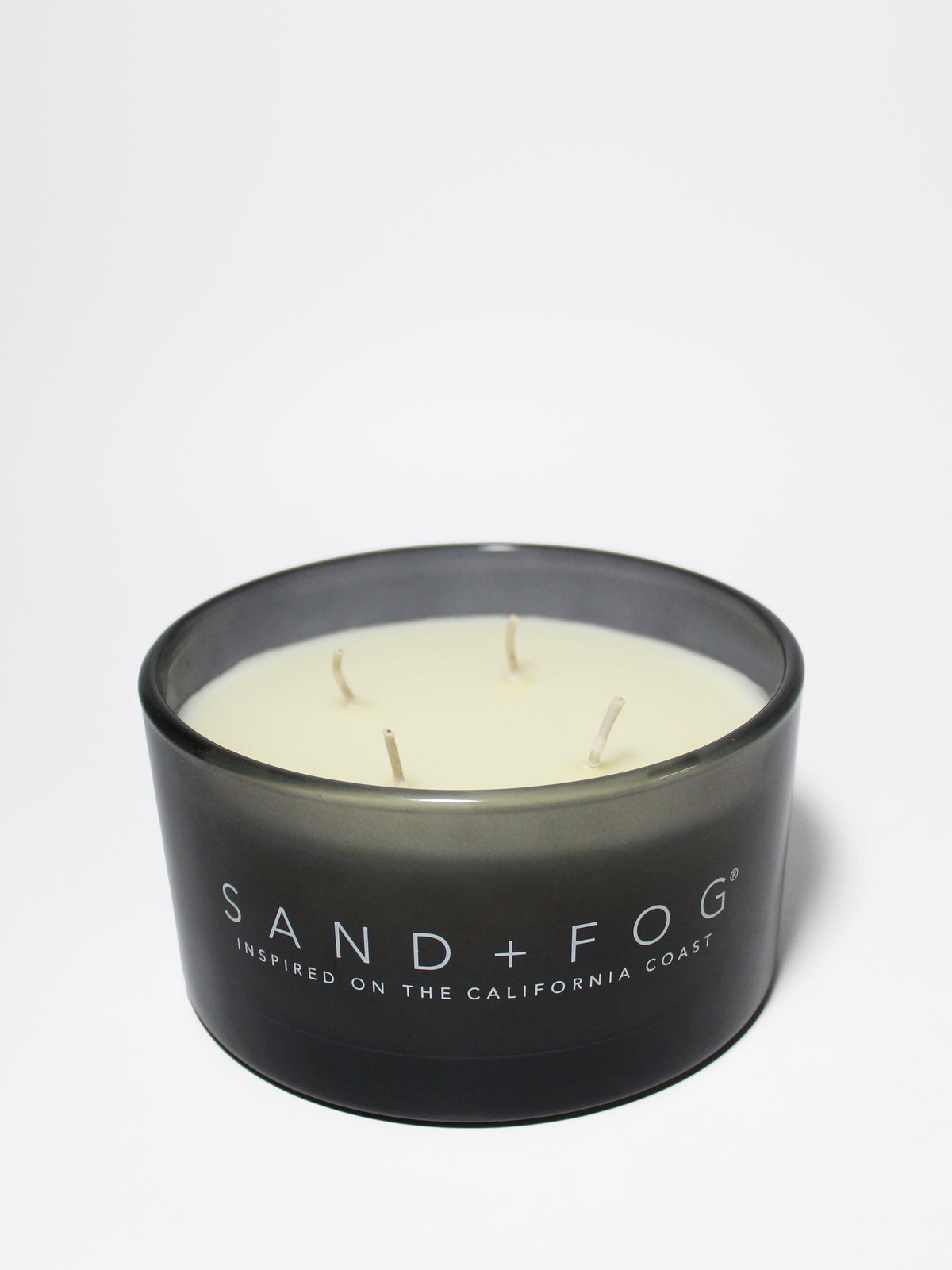 Fern & Moss 23 oz scented candle Premium