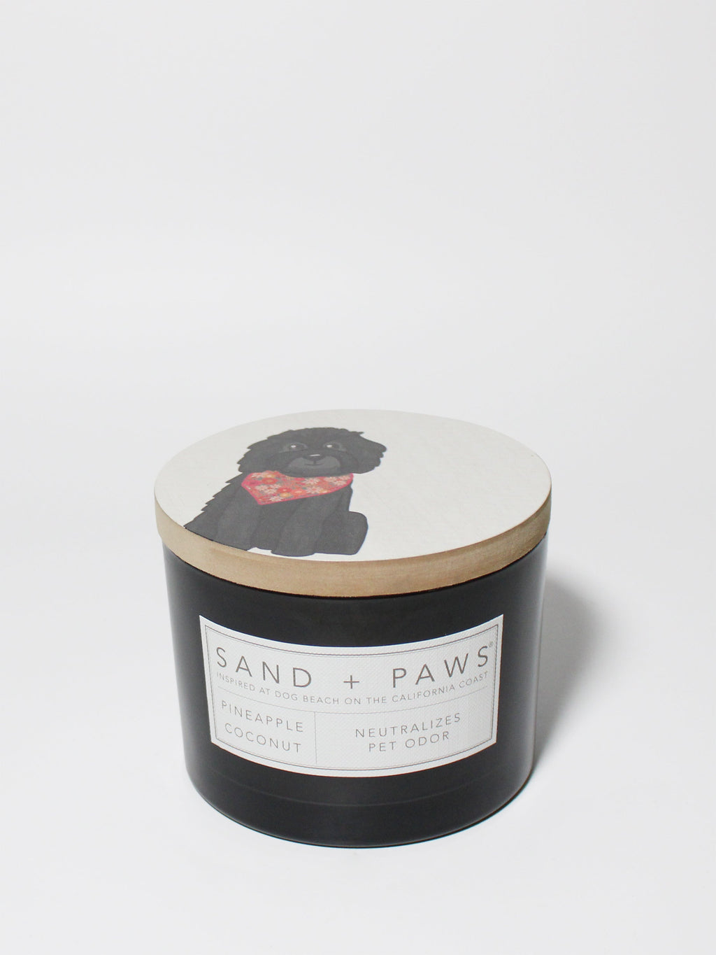 Sand + Paws Pineapple Coconut 12 oz scented candle Premium