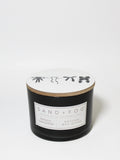 Mango Tangerine 12 oz scented candle Premium
