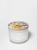 Sand + Paws Coconut & Palm 12 oz scented candle Premium