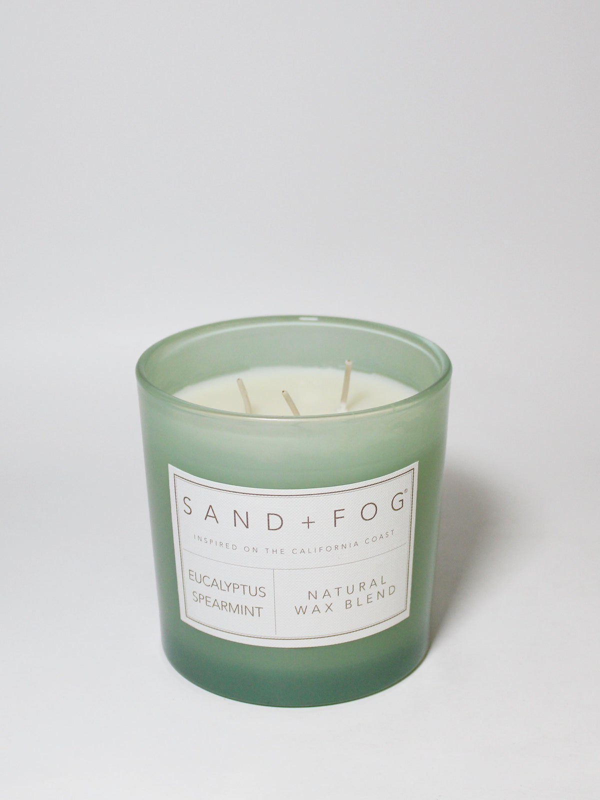 Eucalyptus Spearmint 21 oz scented candle Premium