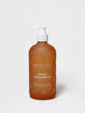 Spiced Gingerbread 15.7 oz Liquid Gentle Hand Soap