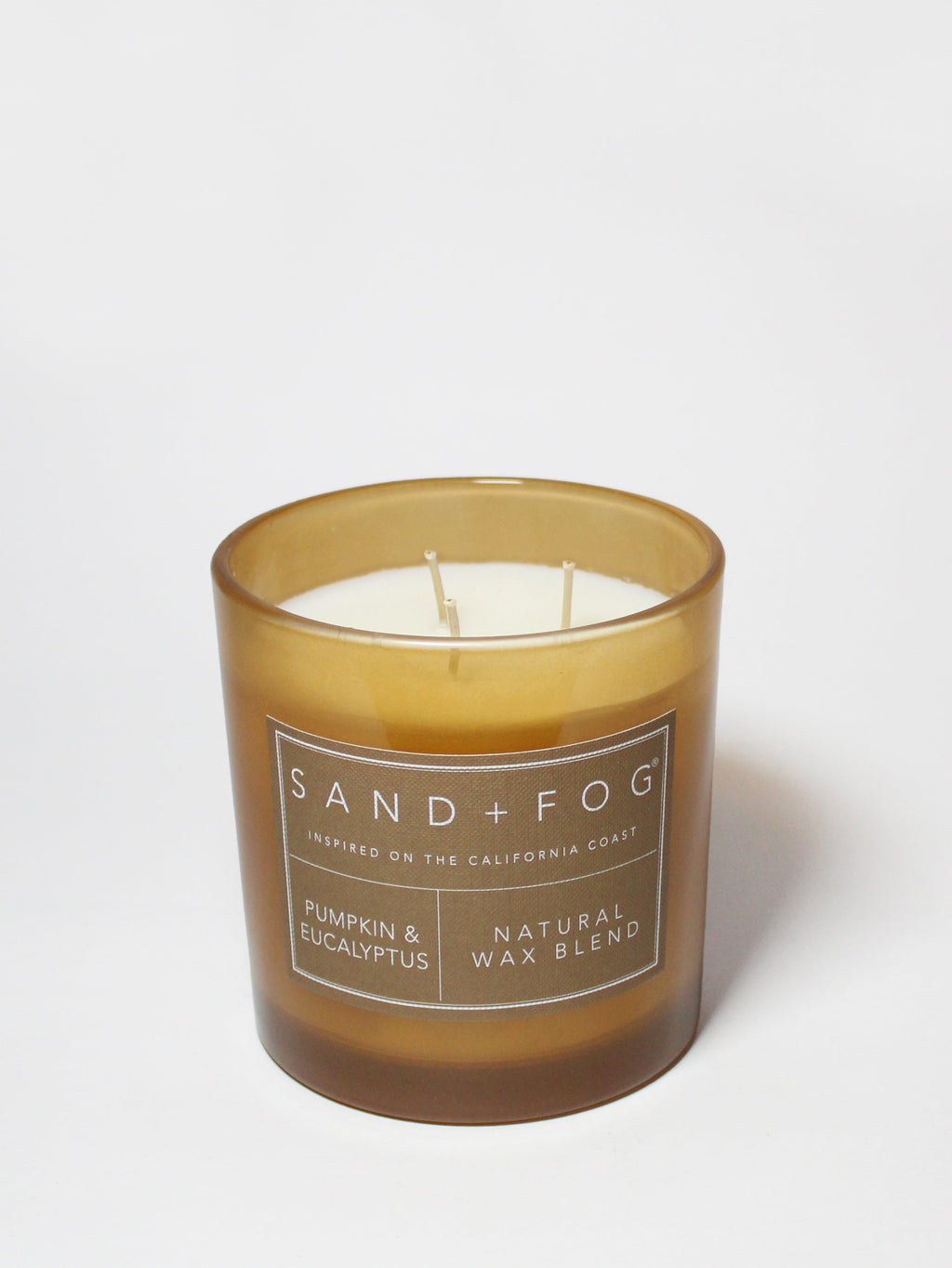 Pumpkin & Eucalyptus 21 oz scented candle Premium