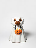 Sand + Paws Jack-o'-Lantern 11 oz scented candle Premium