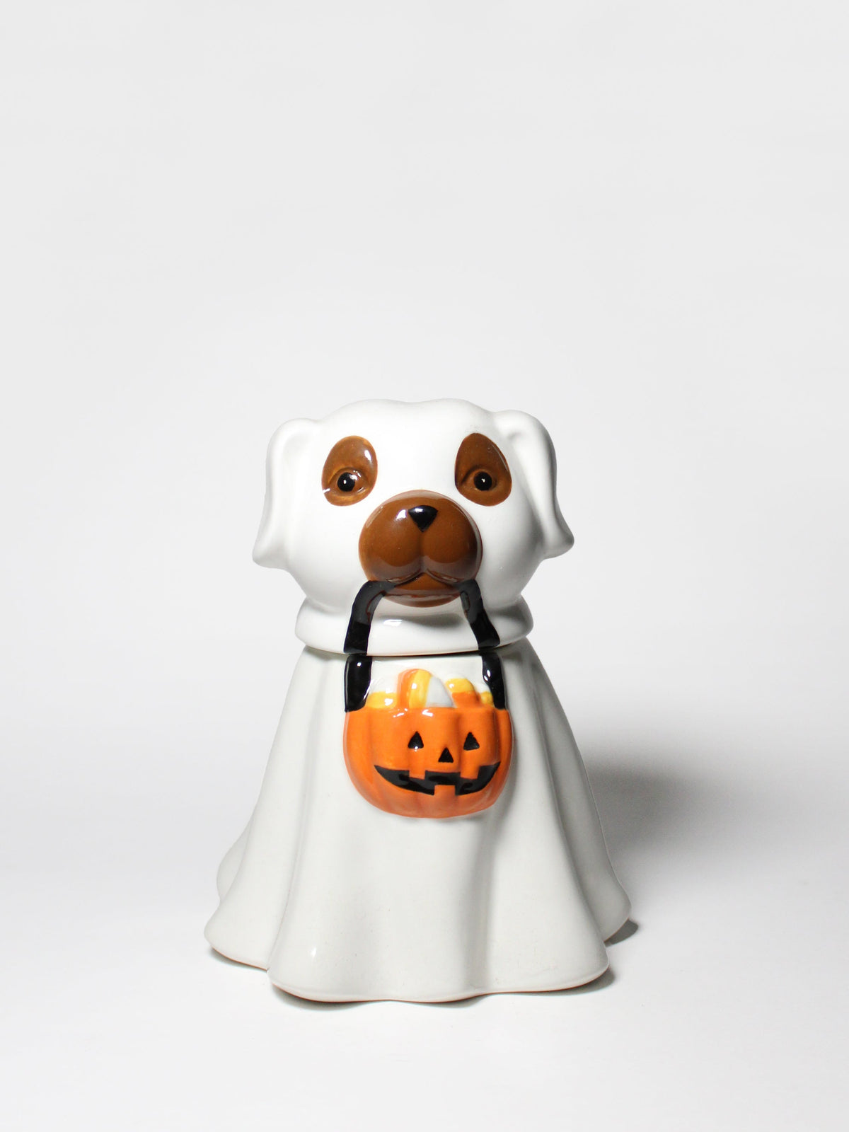 Sand + Paws Jack-o'-Lantern 11 oz scented candle Premium