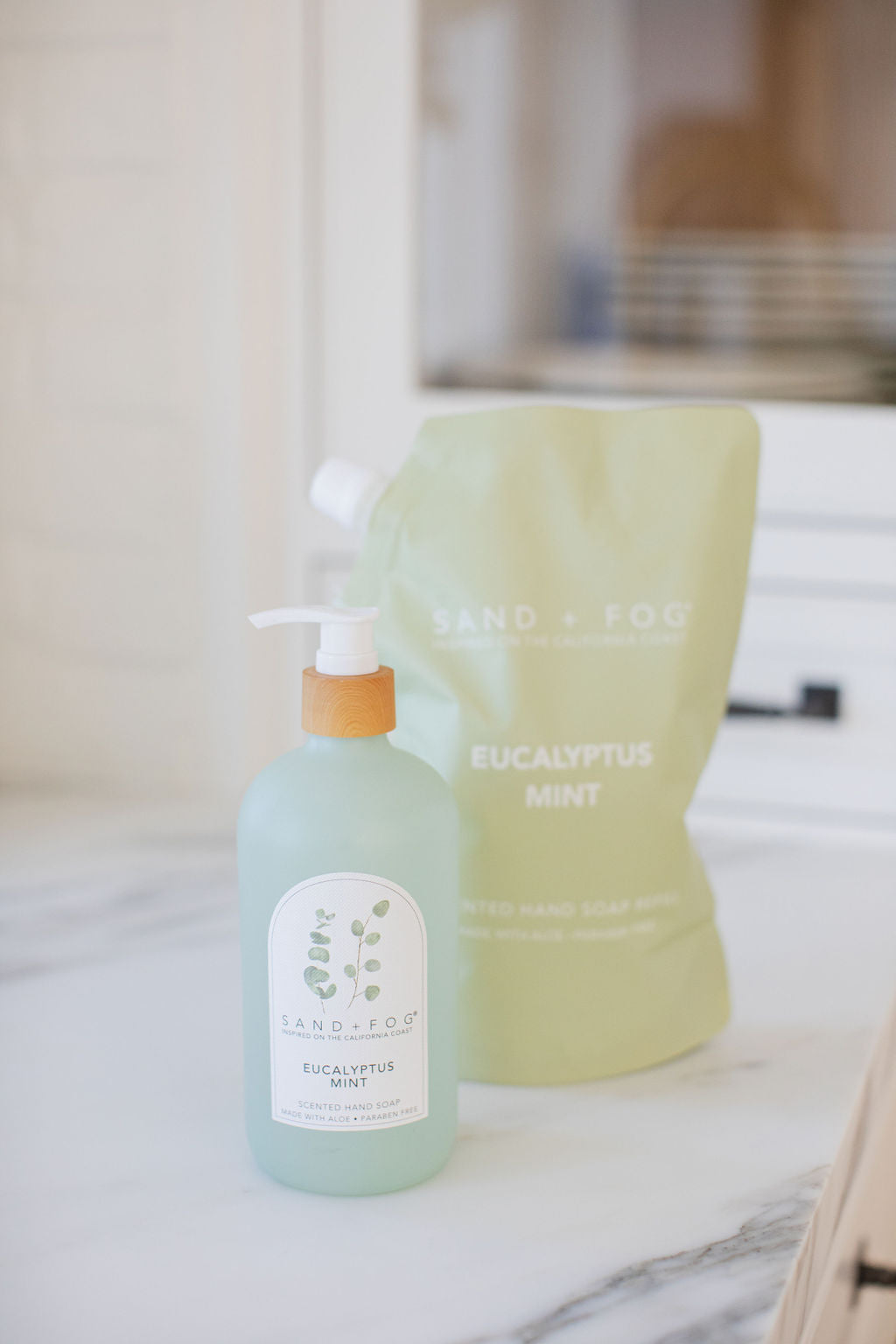 Eucalyptus Mint 34 oz Liquid Gentle Hand Soap Refill Bag