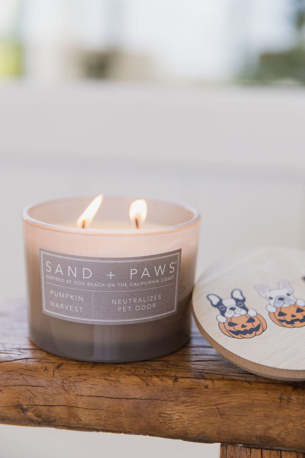 Sand + Paws Pumpkin Harvest 12 oz scented candle Premium