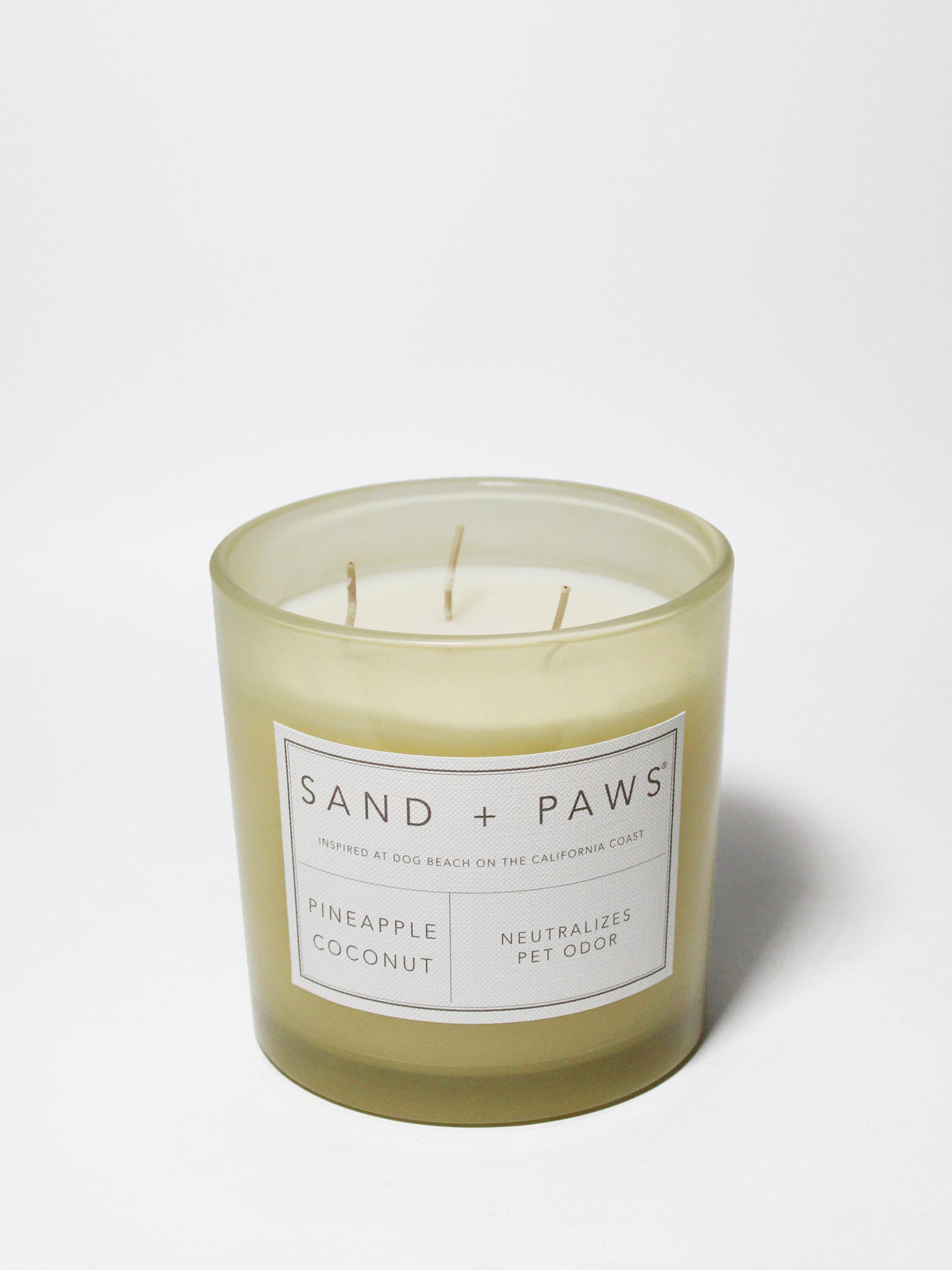 Sand + Paws Pineapple Coconut 21 oz scented candle Premium