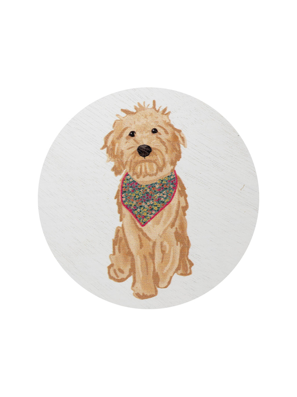 Sand + Paws Laundry Day 12 oz scented candle Premium