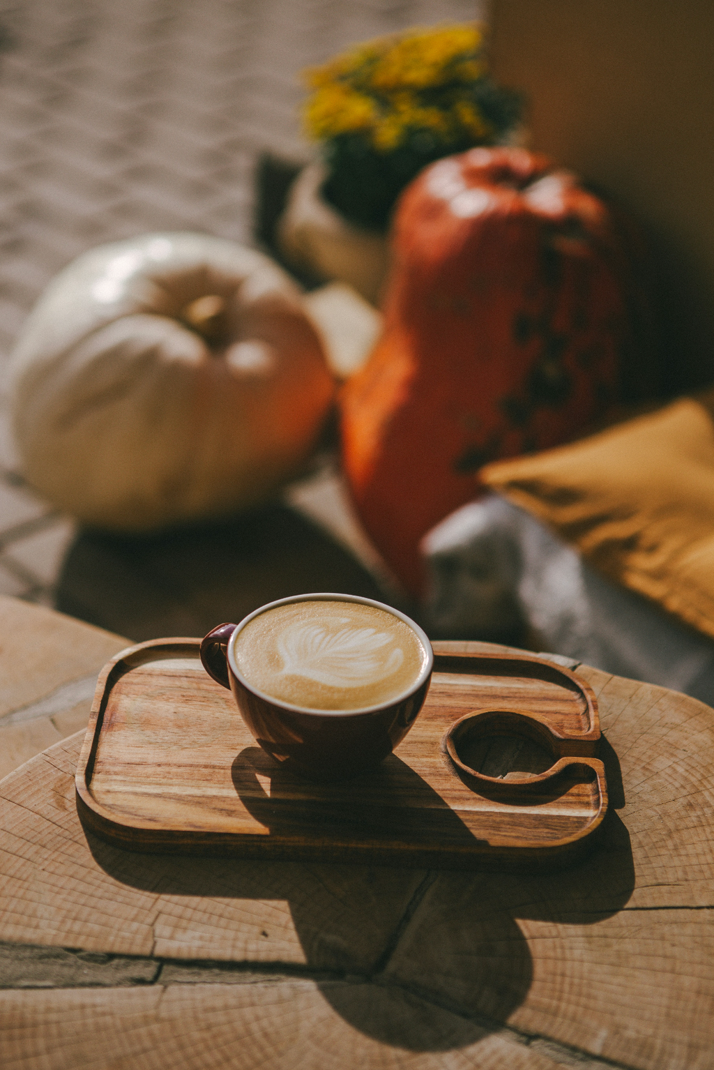 Sand + Paws Pumpkin Soy Latte 12 oz scented candle Premium