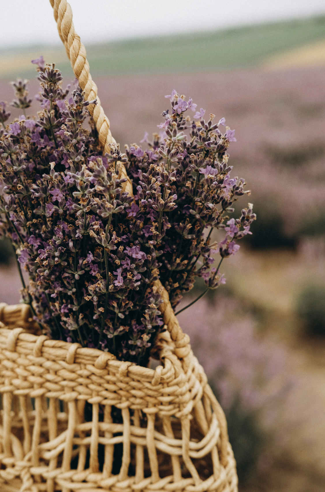 Cedar & Lavender 100 ml Refreshing Room Spray
