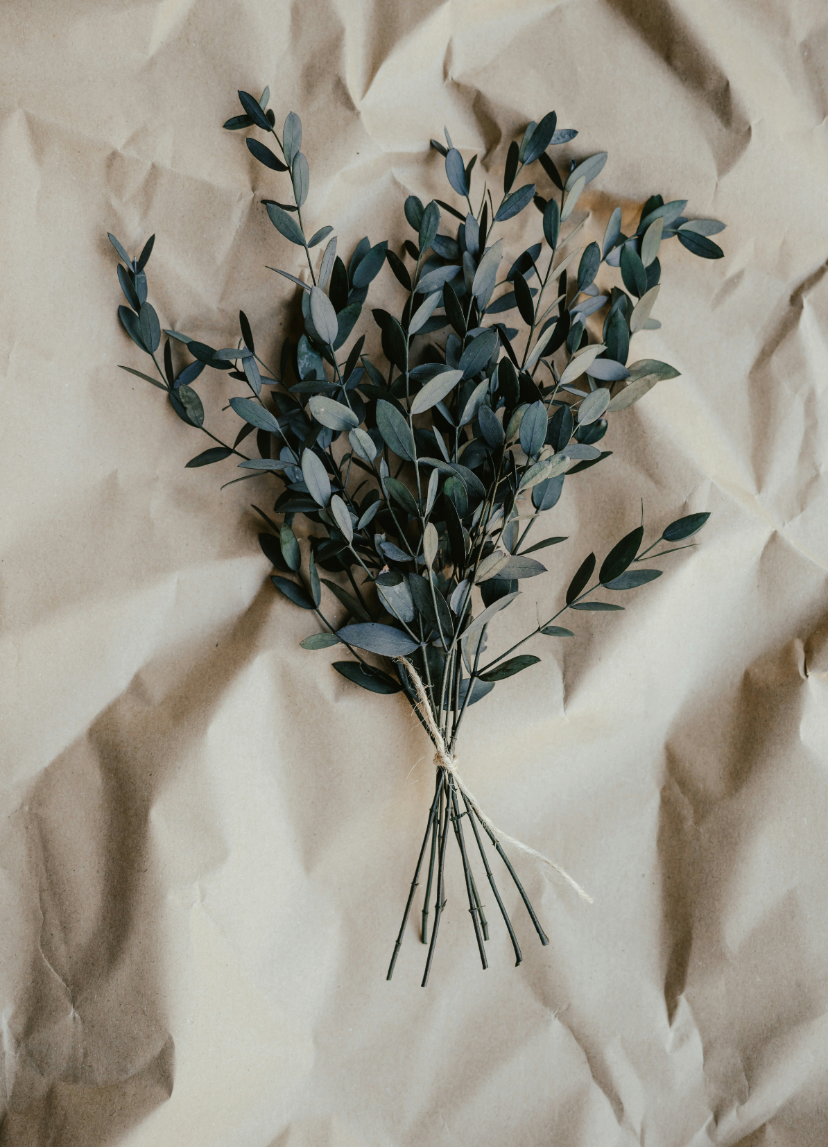 Eucalyptus 100 ml Refreshing Room Spray