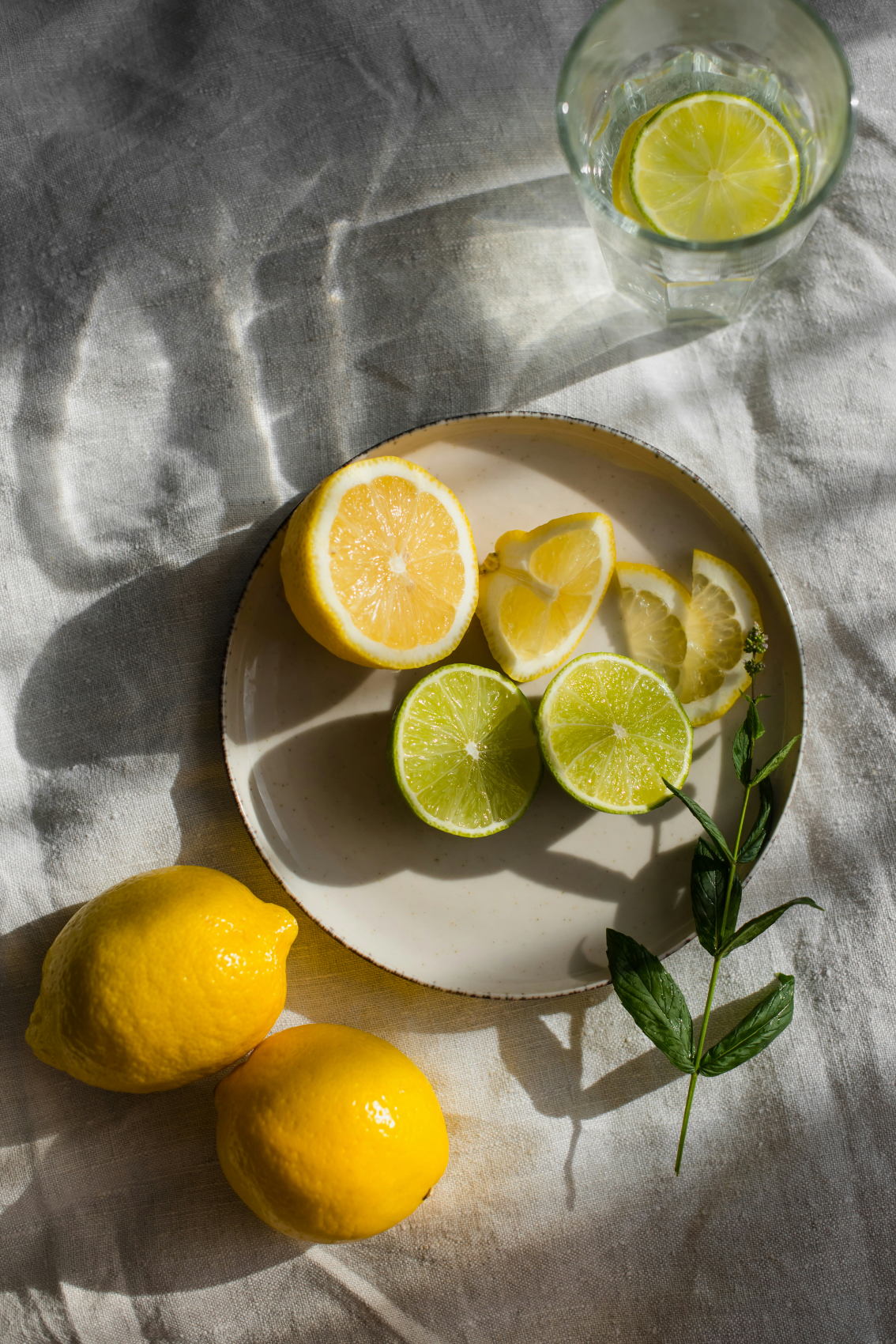 Sand + Paws Limoncello 12 oz scented candle Premium