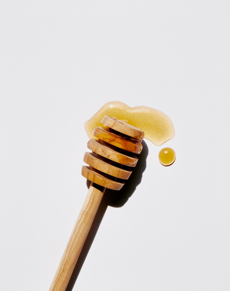 Sweet Honey 15.7 oz Liquid Gentle Hand Soap