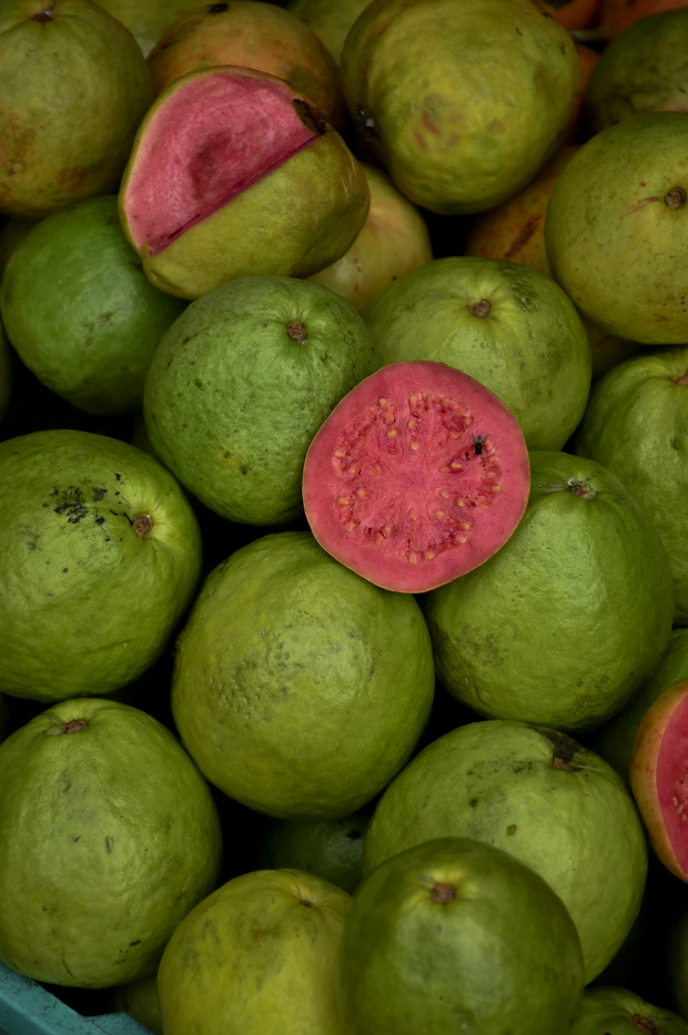 Paradise Guava 12 oz scented candle Premium