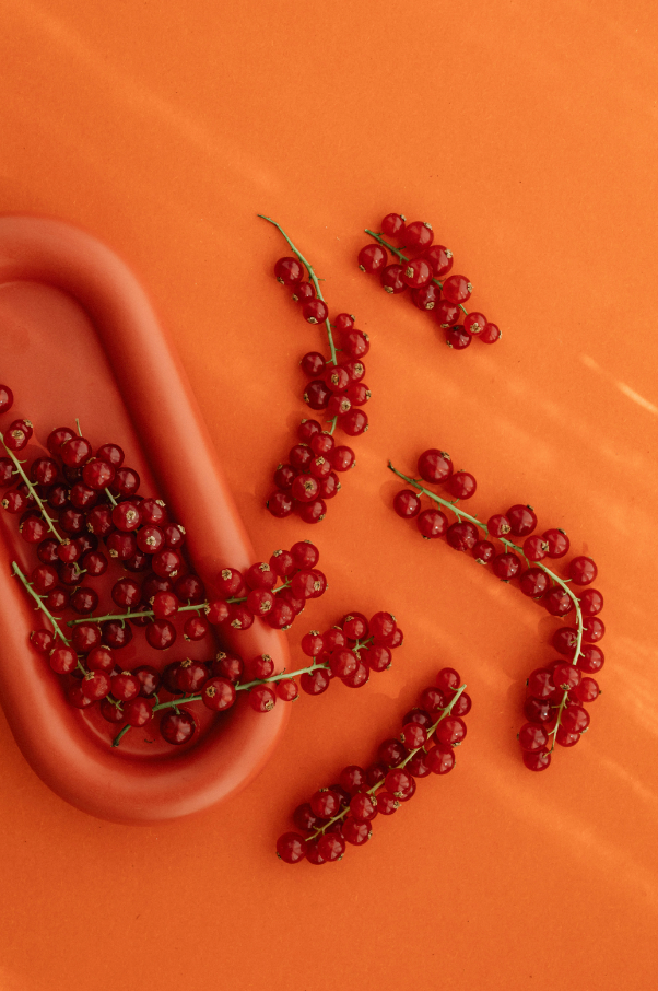 Sand + Paws Lemon & Red Currant 12 oz scented candle Premium