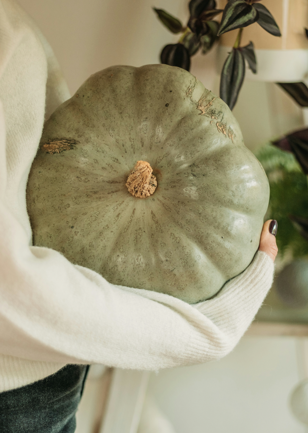 Sage Pumpkin 8.45 oz Liquid Gentle Hand Soap