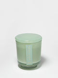 Seaside Dreams 8 oz scented candle Premium
