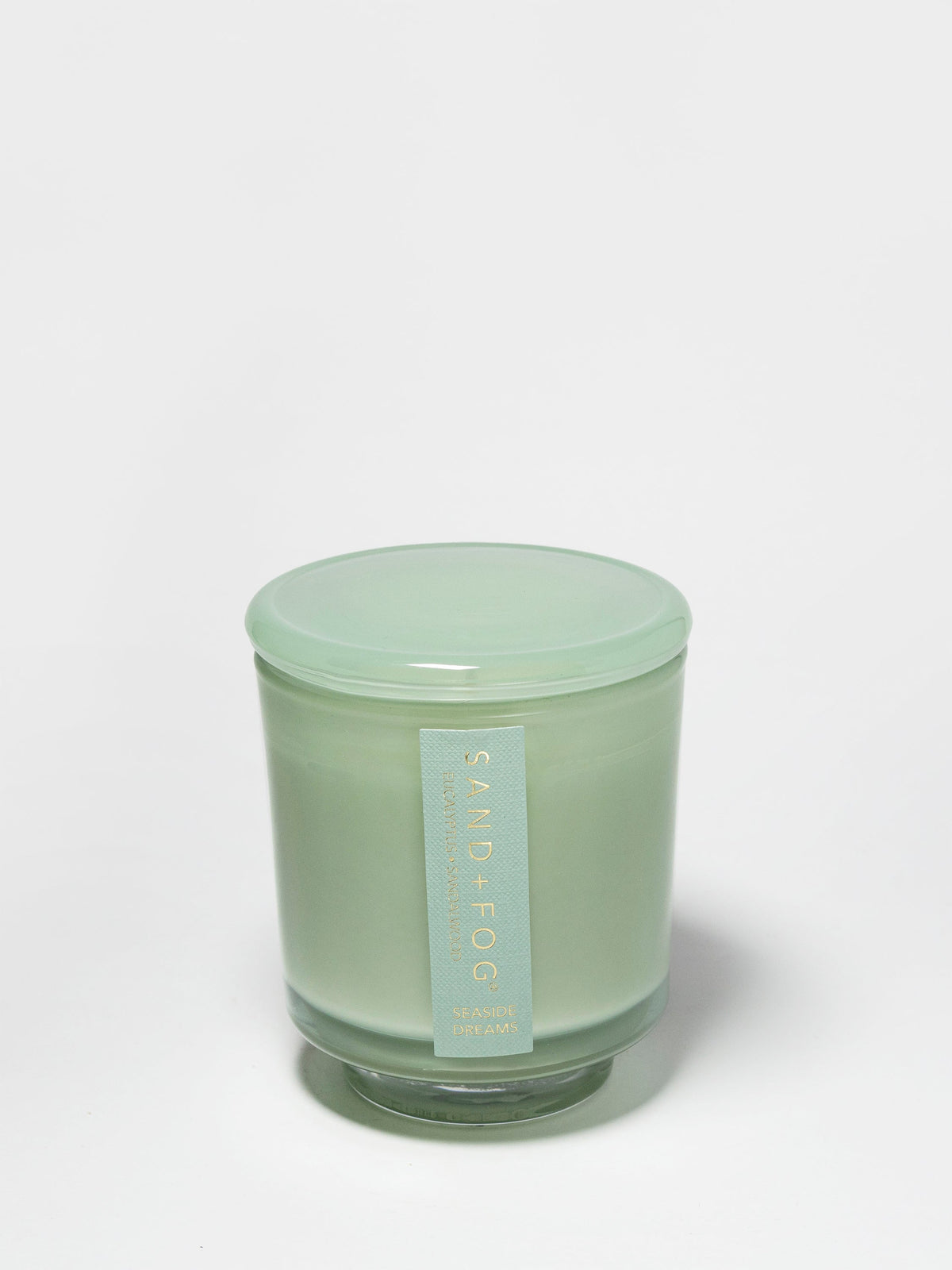 Seaside Dreams 8 oz scented candle Premium
