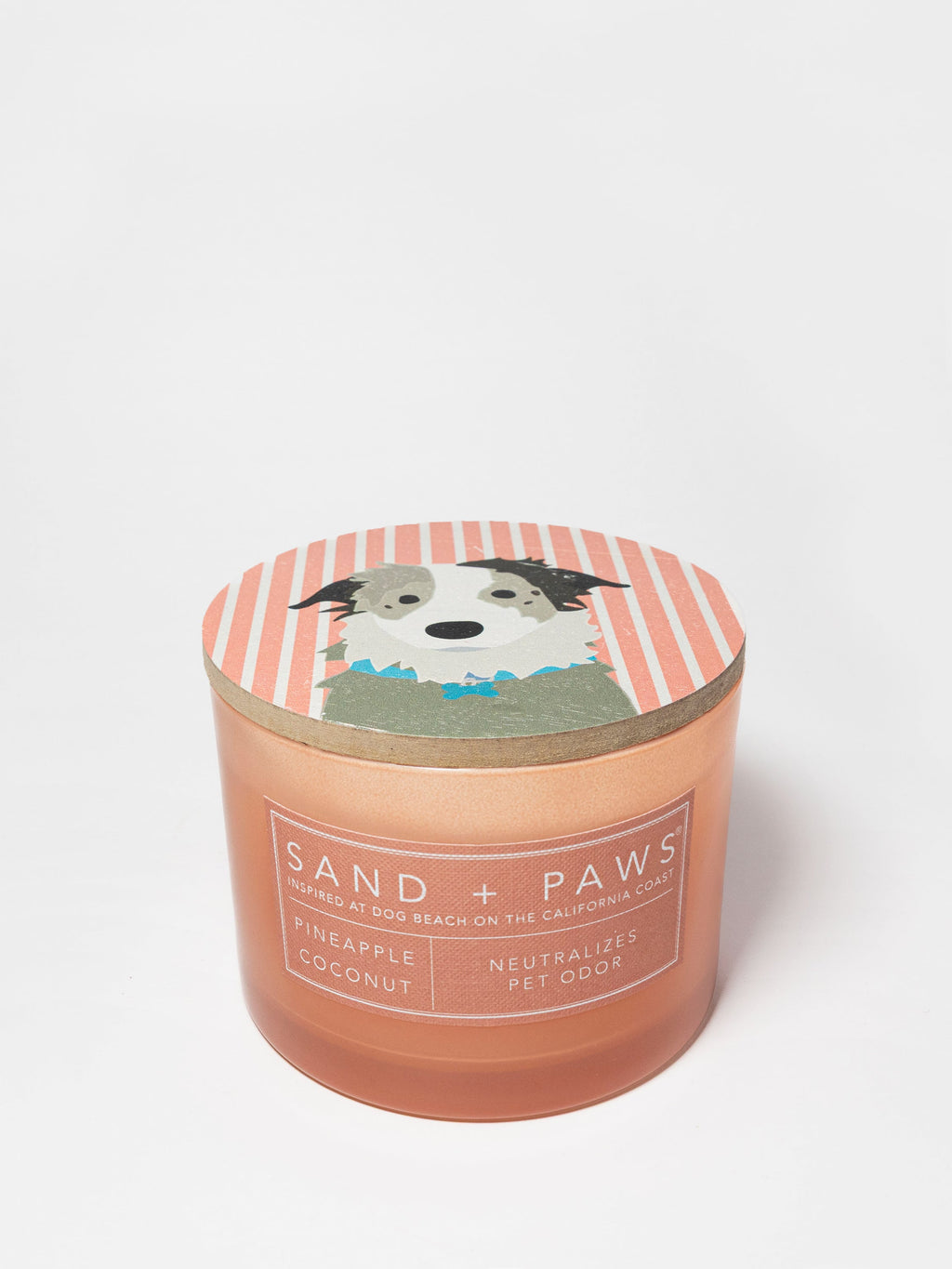 Sand + Paws Pineapple Coconut 12 oz scented candle Premium