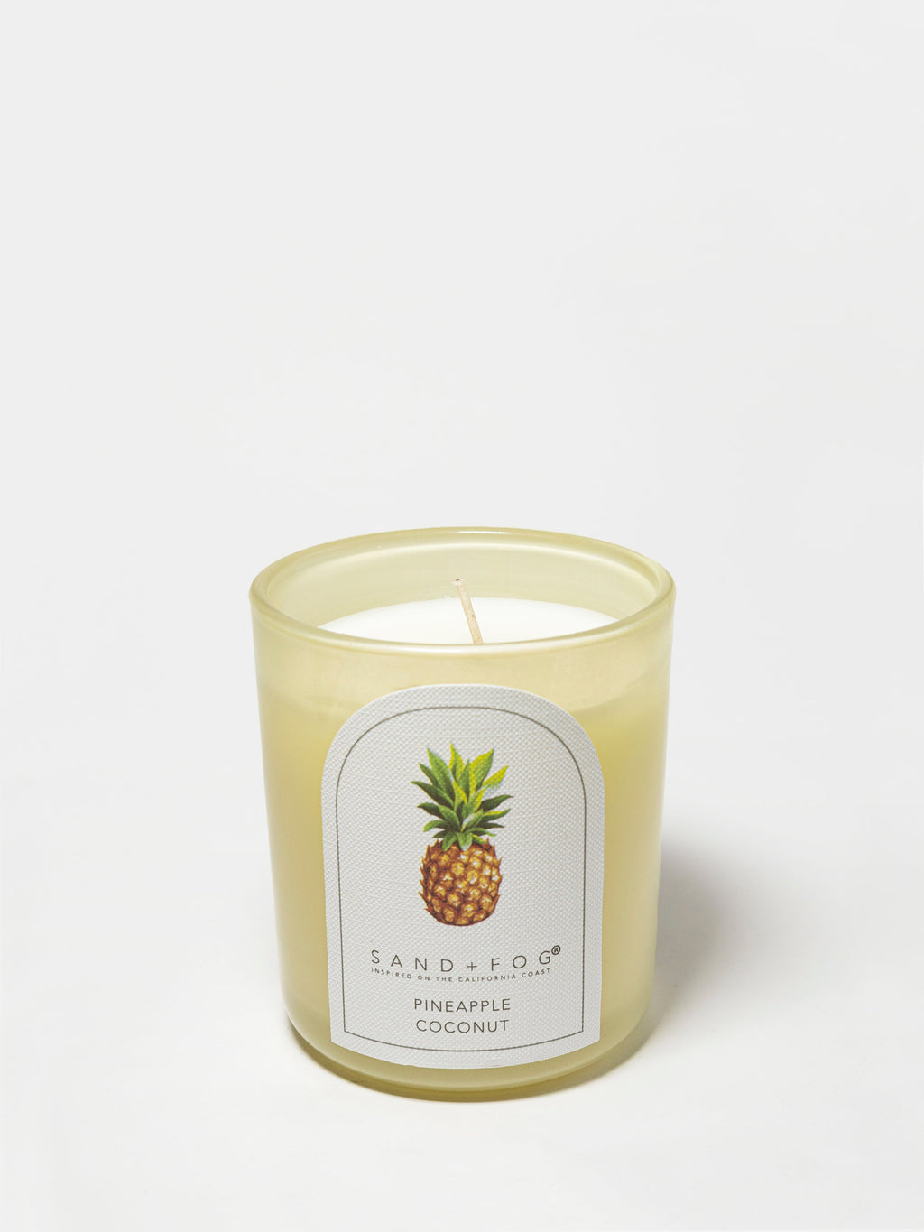 Pineapple Coconut 10 oz scented candle Premium