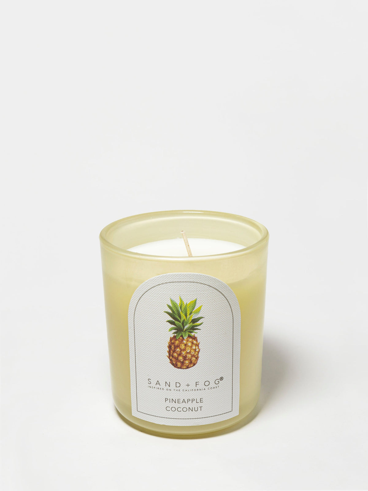 Pineapple Coconut 10 oz scented candle Premium