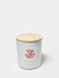 Tropical Citrus 10 oz scented candle Premium